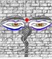 /album/galeria-de-fotos/copia-de-copia-de-ojos-jpg/